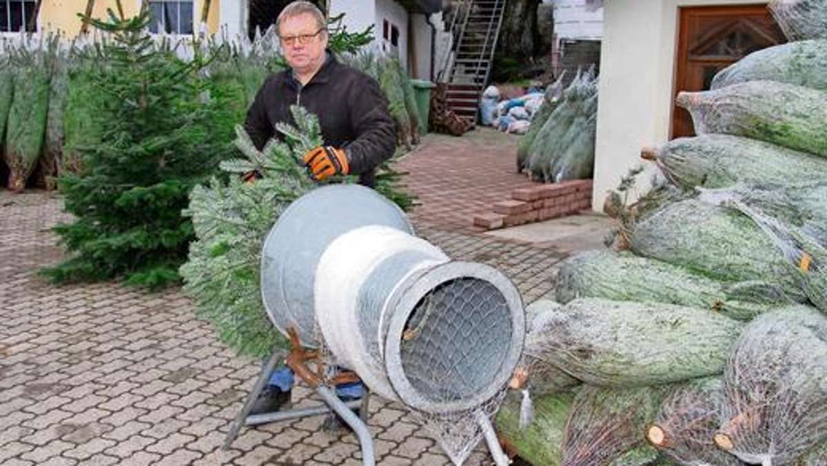 Münchberg: Sechs Hektar Weihnachtsfreude