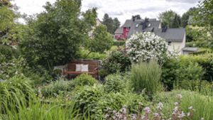 Landkreis Hof: Zu Besuch in privaten Gärten