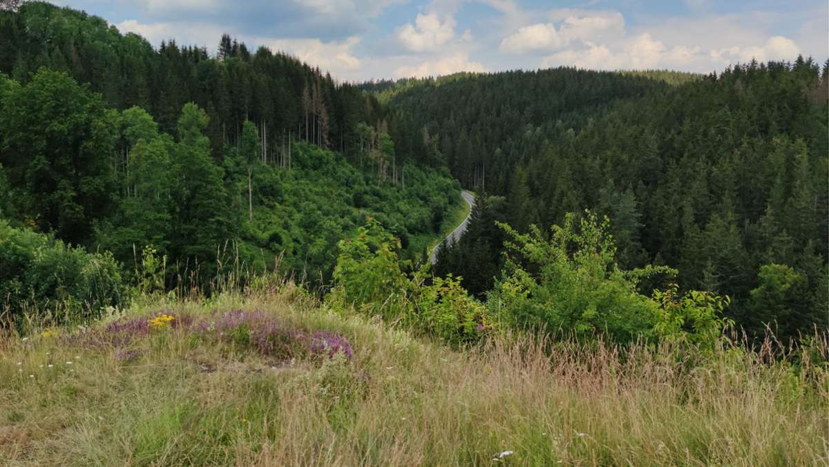 Trekking Award: Frankenwaldsteig erhält Wanderpreis