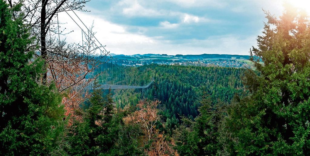 Zwei Hängebrücken über das Lohbach- und das Höllental sollen Einheimischen und Touristen den Blick über die Schönheit des Frankenwalds aus einer einmaligen Perspektive ermöglichen. Foto: Archiv