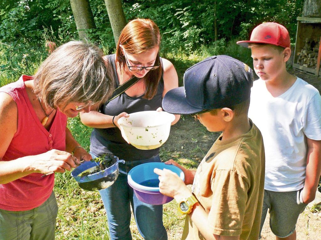 Kescher voller Leben: Andrea Mark (links) und Johanna Härtl erklären den Kindern ihre Funde.