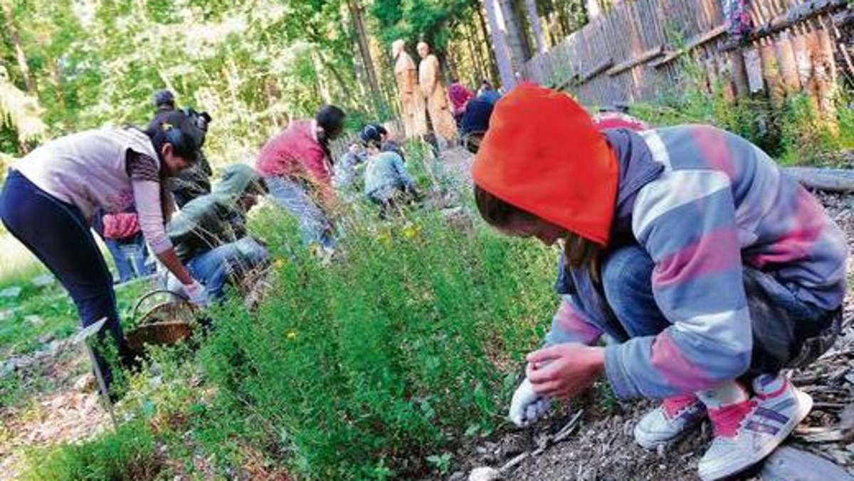 Selb: Schüler bringen Kräutergarten auf Vordermann