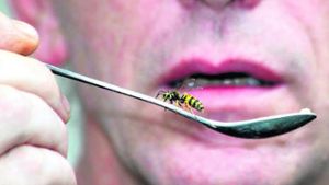 Mediziner warnen vor Wespen