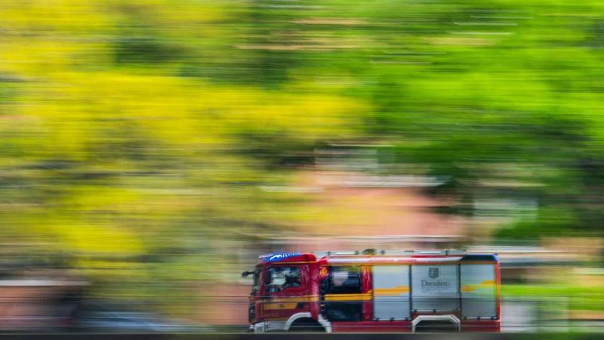 Naila: Naila: Wanderer und Feuerwehr verhindern Waldbrand