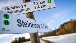 Wird der Steinberg wieder Windrad-Standort?